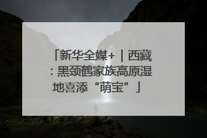 新华全媒+｜西藏：黑颈鹤家族高原湿地喜添“萌宝”