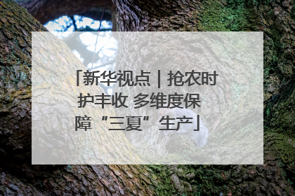 新华视点｜抢农时 护丰收 多维度保障“三夏”生产