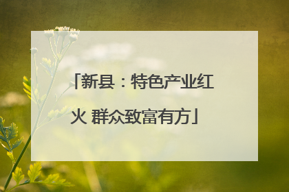 新县：特色产业红火 群众致富有方