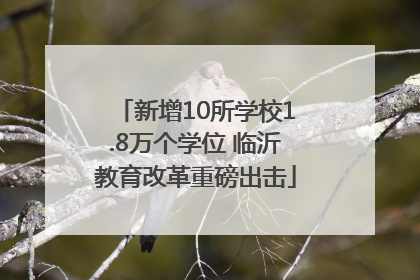 新增10所学校1.8万个学位 临沂教育改革重磅出击