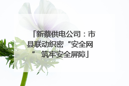 新蔡供电公司：市县联动织密“安全网” 筑牢安全屏障