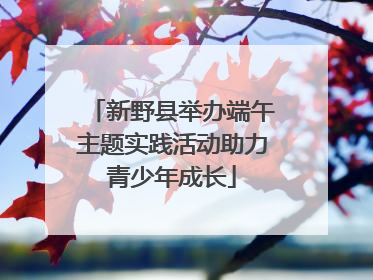 新野县举办端午主题实践活动助力青少年成长