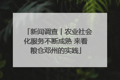 新闻调查丨农业社会化服务不断成熟 来看粮仓邓州的实践