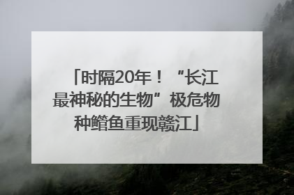时隔20年！“长江最神秘的生物”极危物种鳤鱼重现赣江