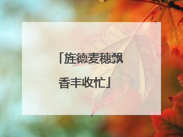 旌德麦穗飘香丰收忙