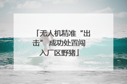 无人机精准“出击” 成功处置闯入厂区野猪