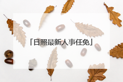 日照最新人事任免