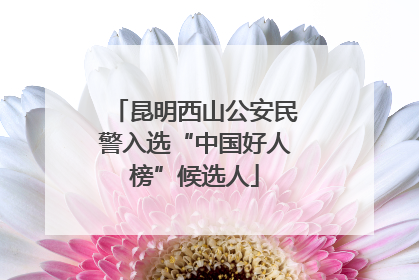 昆明西山公安民警入选“中国好人榜”候选人