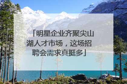 明星企业齐聚尖山湖人才市场，这场招聘会需求真挺多