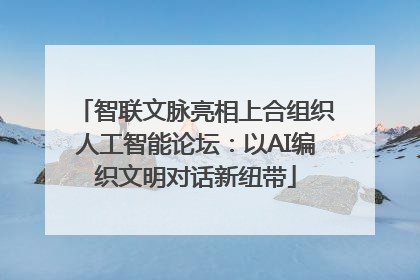 智联文脉亮相上合组织人工智能论坛：以AI编织文明对话新纽带