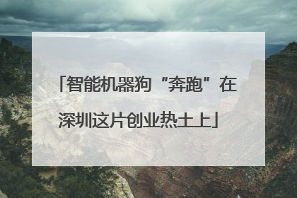 智能机器狗“奔跑”在深圳这片创业热土上
