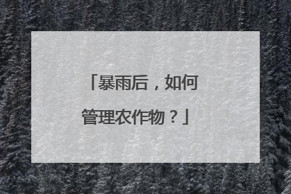 暴雨后，如何管理农作物？