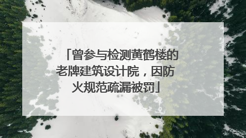 曾参与检测黄鹤楼的老牌建筑设计院，因防火规范疏漏被罚