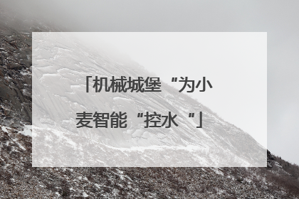 机械城堡“为小麦智能“控水“