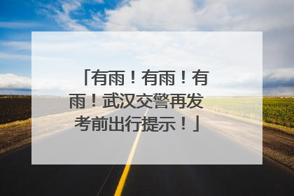 有雨！有雨！有雨！武汉交警再发考前出行提示！