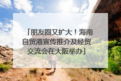 朋友圈又扩大！海南自贸港宣传推介及经贸交流会在大阪举办