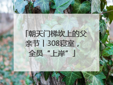 朝天门梯坎上的父亲节丨308寝室，全员“上岸”