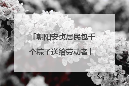 朝阳安贞居民包千个粽子送给劳动者