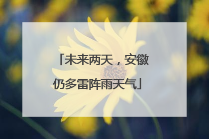 未来两天，安徽仍多雷阵雨天气
