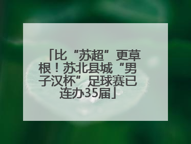 比“苏超”更草根！苏北县城“男子汉杯”足球赛已连办35届