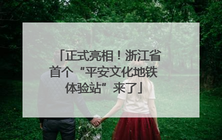 正式亮相！浙江省首个“平安文化地铁体验站”来了