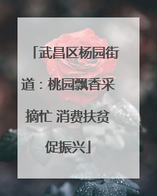 武昌区杨园街道：桃园飘香采摘忙 消费扶贫促振兴