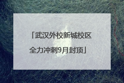 武汉外校新城校区全力冲刺9月封顶