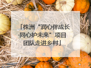 株洲“润心伴成长·同心护未来”项目团队走进乡村