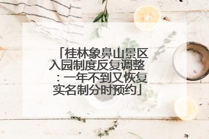 桂林象鼻山景区入园制度反复调整：一年不到又恢复实名制分时预约