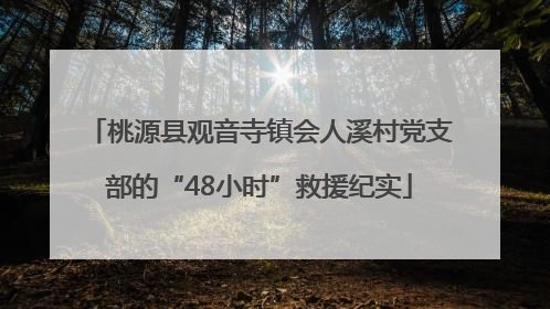 桃源县观音寺镇会人溪村党支部的“48小时”救援纪实