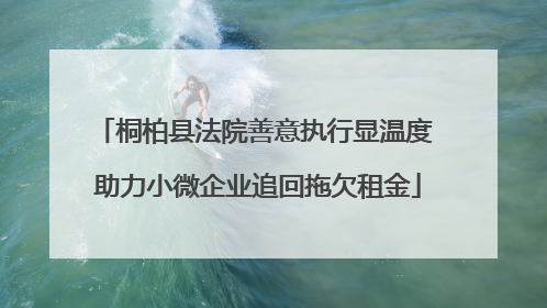 桐柏县法院善意执行显温度 助力小微企业追回拖欠租金