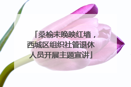 桑榆未晚映红墙，西城区组织社管退休人员开展主题宣讲
