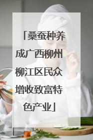 桑蚕种养成广西柳州柳江区民众增收致富特色产业