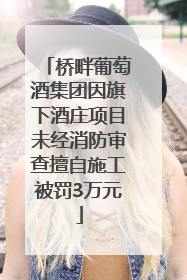 桥畔葡萄酒集团因旗下酒庄项目未经消防审查擅自施工被罚3万元