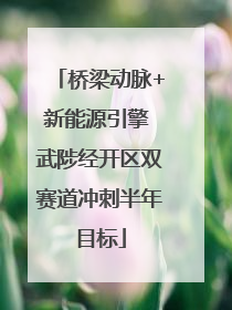 桥梁动脉+新能源引擎 武陟经开区双赛道冲刺半年目标