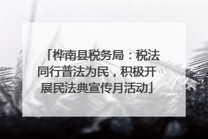 桦南县税务局：税法同行普法为民，积极开展民法典宣传月活动