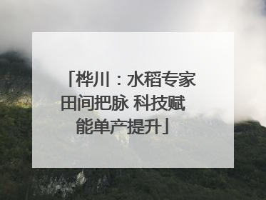 桦川：水稻专家田间把脉 科技赋能单产提升