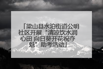 梁山县水泊街道公明社区开展“清凉饮水润心田 向日葵开花祝夺魁”助考活动