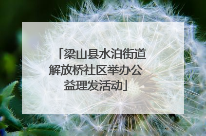 梁山县水泊街道解放桥社区举办公益理发活动