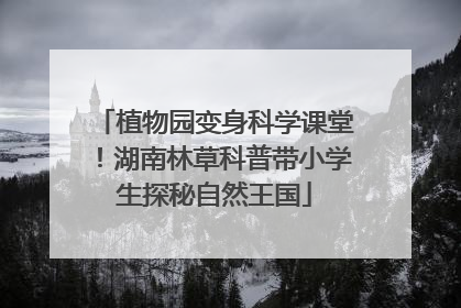 植物园变身科学课堂！湖南林草科普带小学生探秘自然王国