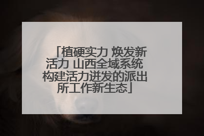植硬实力 焕发新活力 山西全域系统构建活力迸发的派出所工作新生态