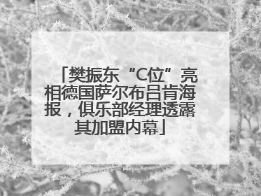 樊振东“C位”亮相德国萨尔布吕肯海报，俱乐部经理透露其加盟内幕