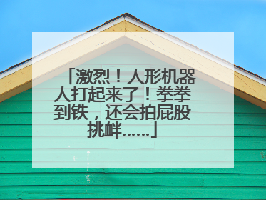 激烈！人形机器人打起来了！拳拳到铁，还会拍屁股挑衅……