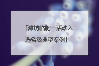 潍坊临朐一活动入选省级典型案例