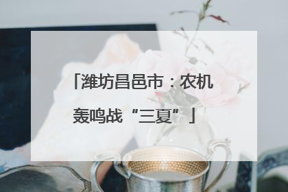 潍坊昌邑市：农机轰鸣战“三夏”