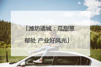 潍坊诸城：瓜甜葱郁处 产业好风光