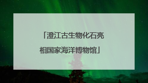 澄江古生物化石亮相国家海洋博物馆