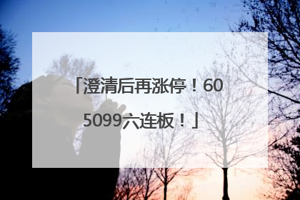 澄清后再涨停！605099六连板！