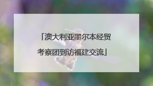 澳大利亚墨尔本经贸考察团到访福建交流
