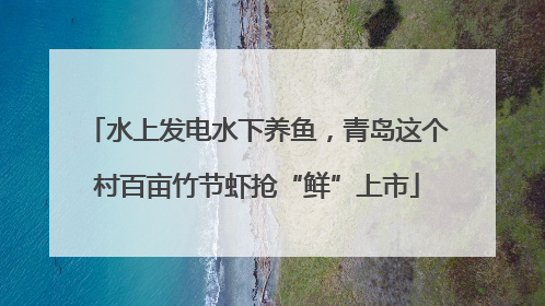 水上发电水下养鱼，青岛这个村百亩竹节虾抢“鲜”上市